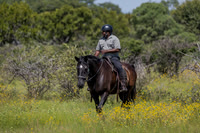 Riding @ Ants