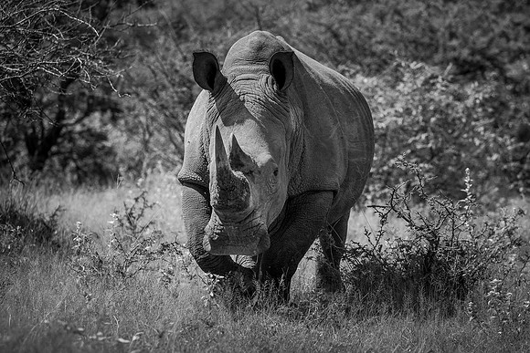 UNBROKEN (BLACK & WHITE)