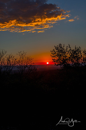 Image 17