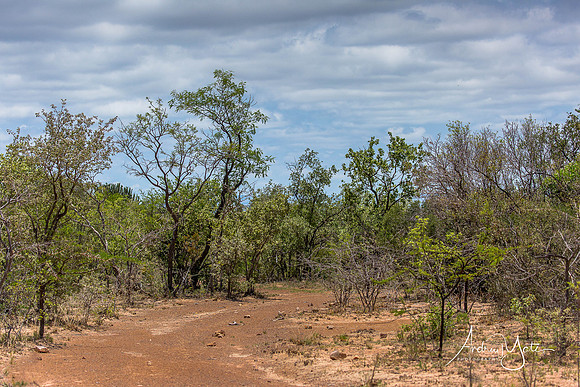 Image 58