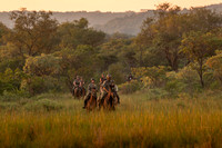 Ride For Rhinos 2024
